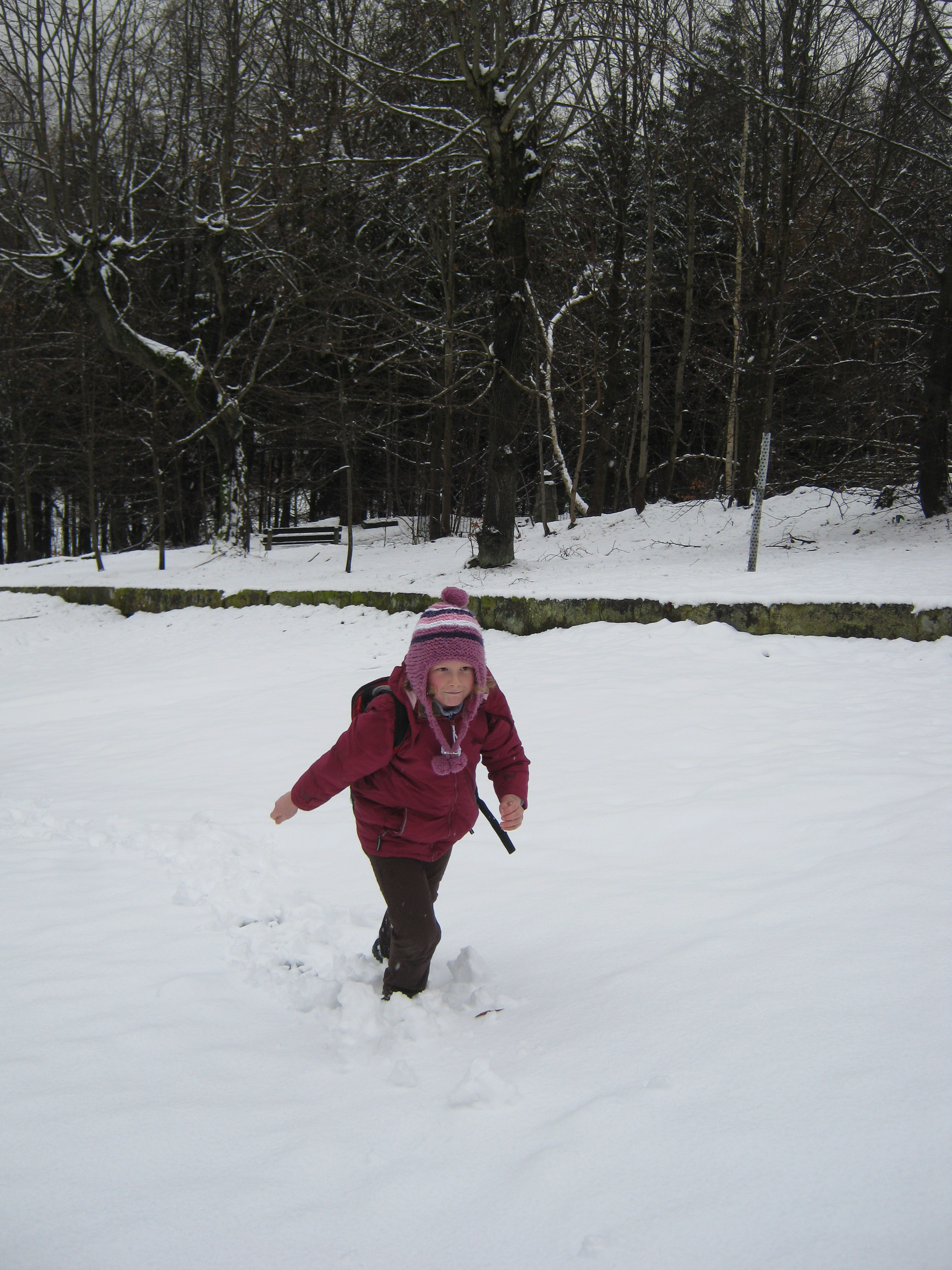 Jedlová 30.11.2013 011
