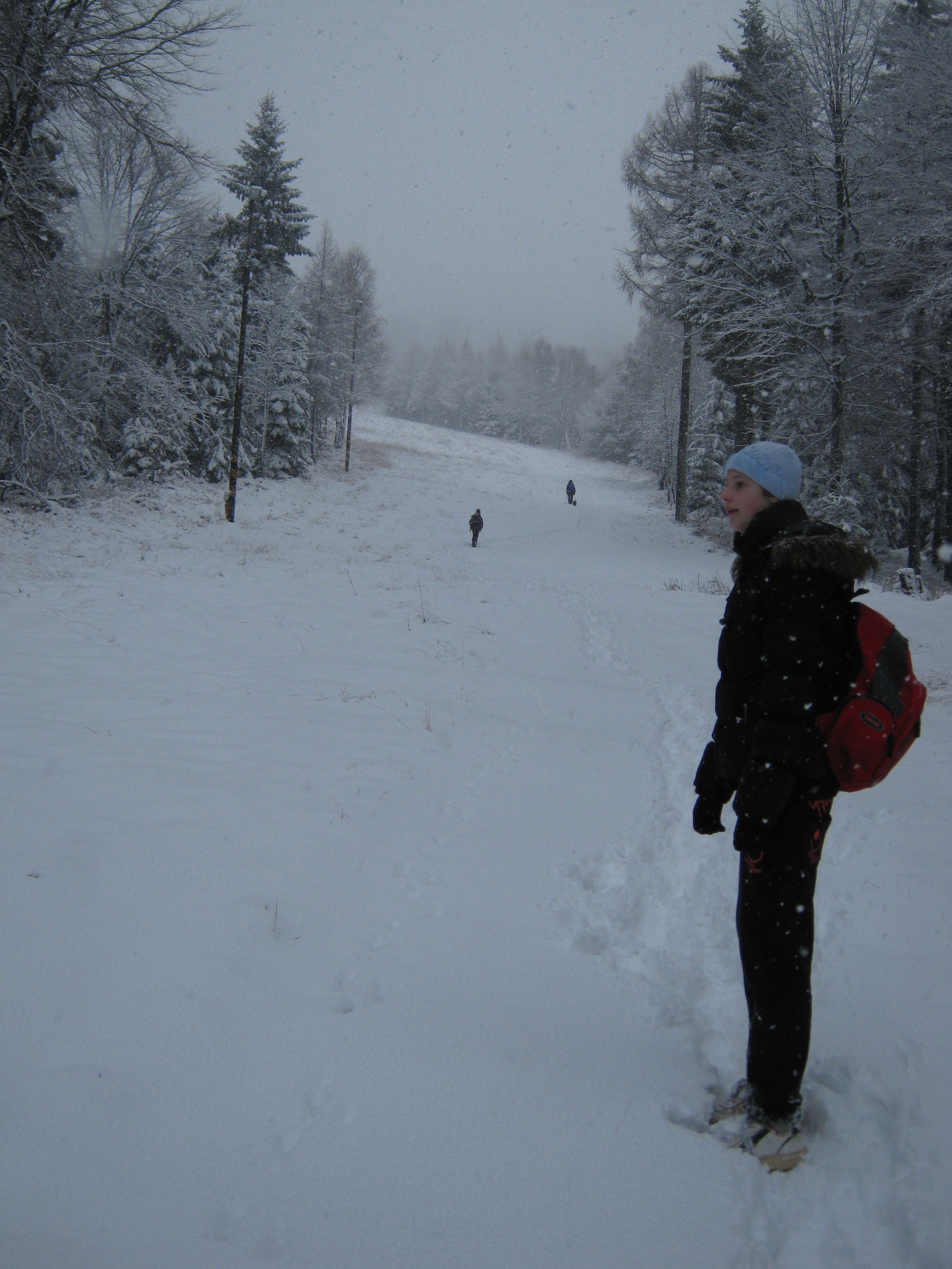 Jedlová 30.11.2013 027